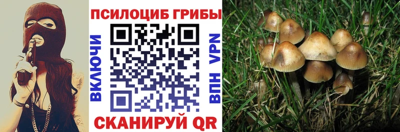 Купить закладки  Ивдель  Псилоцибиновые грибы мицелий 